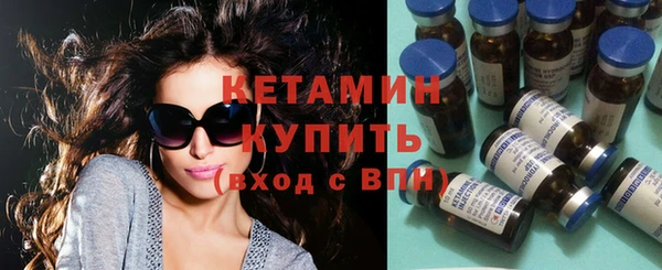 индика Тобольск